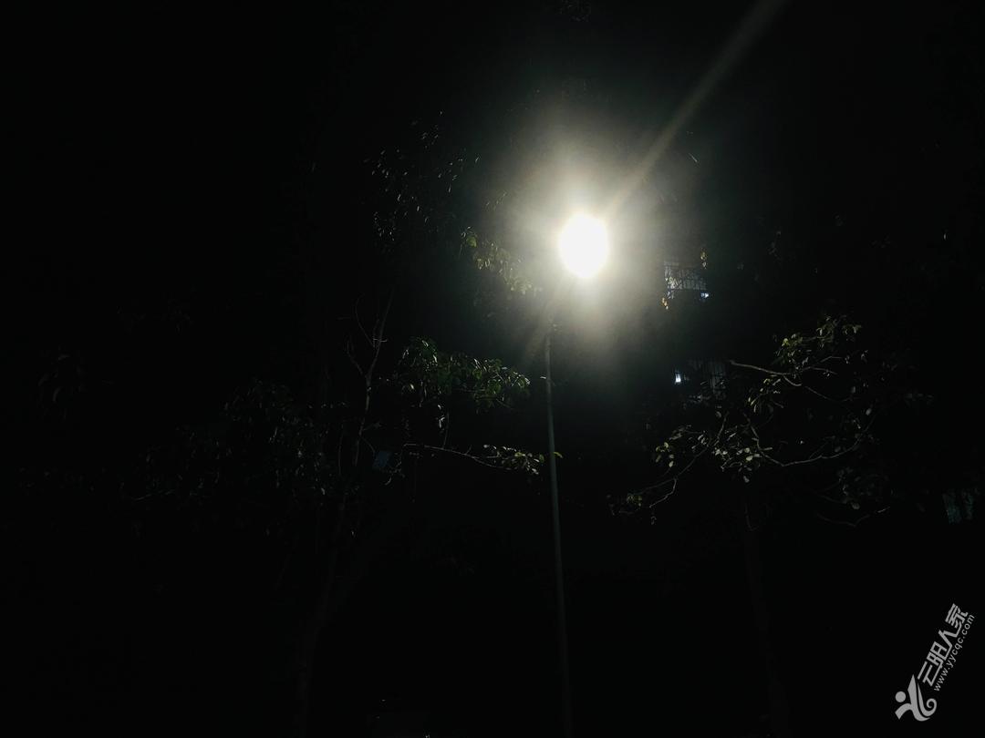 黑夜中的一盏灯,照亮前行的路程